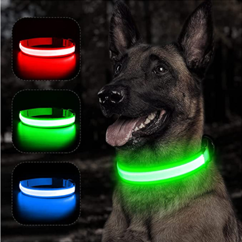 USB Rechargeable LED Dog Collar – Adjustable Glow-in-the-Dark Pet Safety Collar