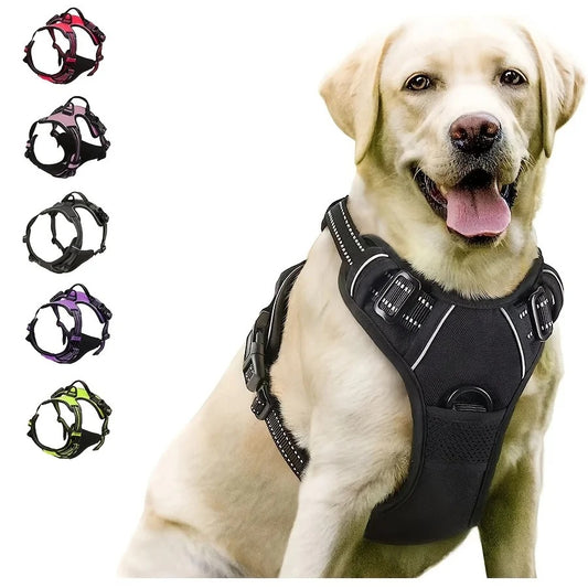 Dog Harness & Leash Set – Adjustable Leather Collar for Small & Medium Dogs