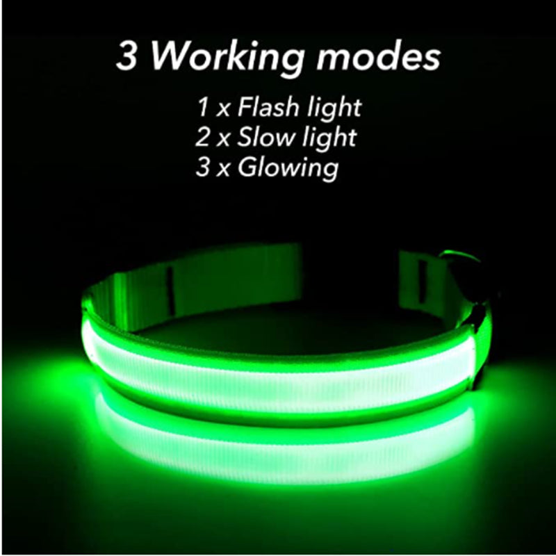 USB Rechargeable LED Dog Collar – Adjustable Glow-in-the-Dark Pet Safety Collar