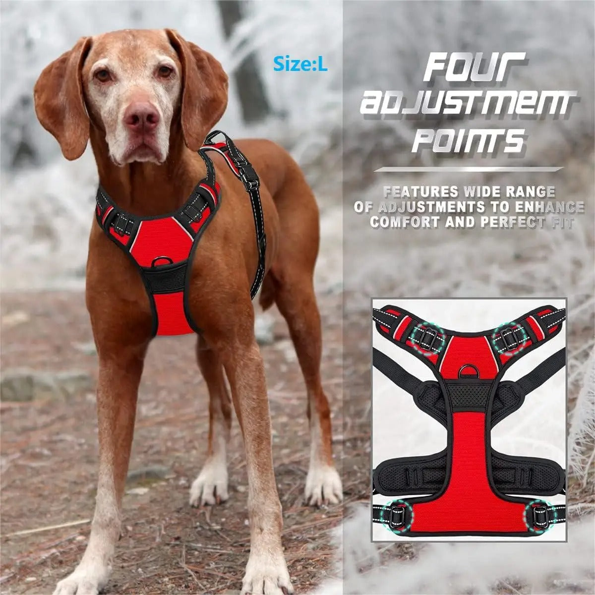 Dog Harness & Leash Set – Adjustable Leather Collar for Small & Medium Dogs