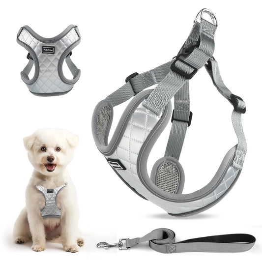 Dog Harness and Leash Combo, Escape Proof No Pull Vest Harness, Step-In Reflective Adjustable Soft Padded Pet Harness for Small to Large Dogs, Gray S