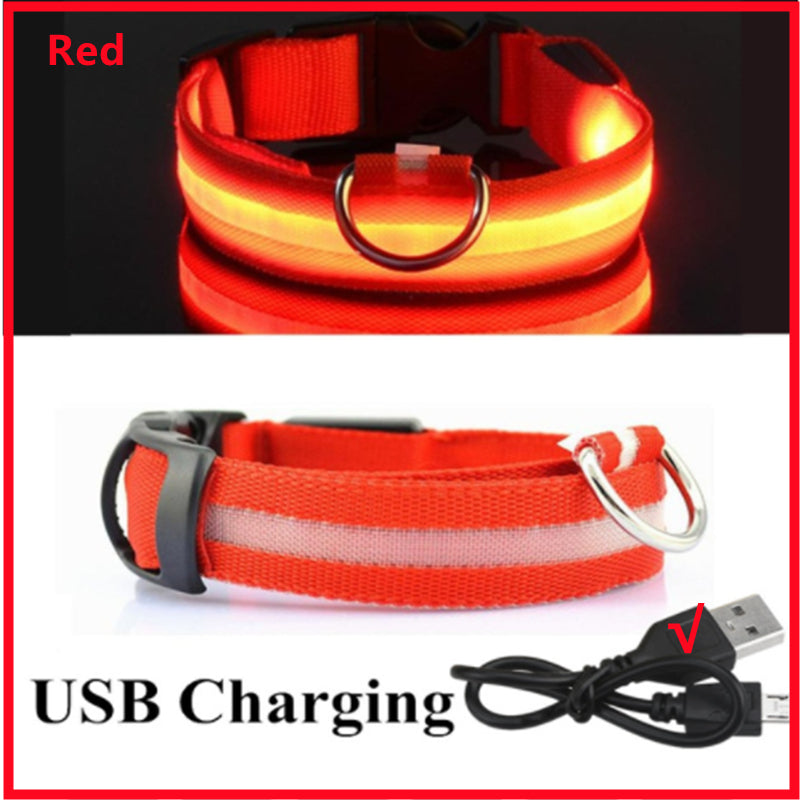 USB Rechargeable LED Dog Collar – Adjustable Glow-in-the-Dark Pet Safety Collar