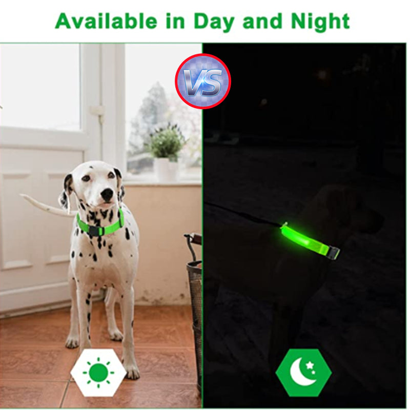 USB Rechargeable LED Dog Collar – Adjustable Glow-in-the-Dark Pet Safety Collar