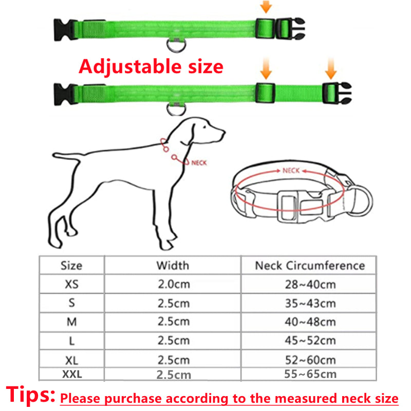 USB Rechargeable LED Dog Collar – Adjustable Glow-in-the-Dark Pet Safety Collar