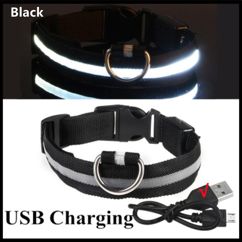 USB Rechargeable LED Dog Collar – Adjustable Glow-in-the-Dark Pet Safety Collar