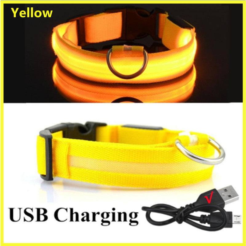 USB Rechargeable LED Dog Collar – Adjustable Glow-in-the-Dark Pet Safety Collar