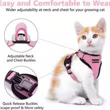 Adjustable Non-Slip Cat Leash & Vest – Secure Pet Harness for Safe Walks