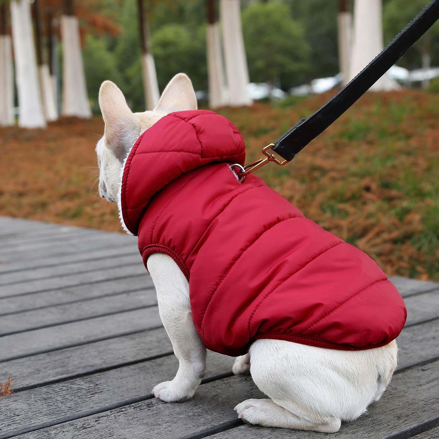 Dog Fleece Hoodie, Windproof Waterproof Dog Coat Fleece & Cotton Lined Warm Dog Jacket, Cold Weather Pet Apparel Clothes Vest for Small Medium Large Dog (S: Length 10.6